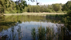 0342_Revitalizace Malého Chobotu